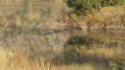 thumbs/003_Pilanesberg.jpg
