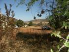 thumbs/006_Pilanesberg.jpg