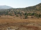 thumbs/021_Pilanesberg.jpg