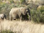 Pilanesberg, South Africa