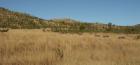 thumbs/035_Pilanesberg.jpg