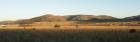 thumbs/049_Pilanesberg.jpg
