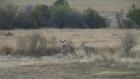 thumbs/059_Pilanesberg.jpg