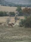 thumbs/061_Pilanesberg.jpg