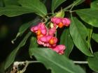 thumbs/008_Podzim_05.jpg