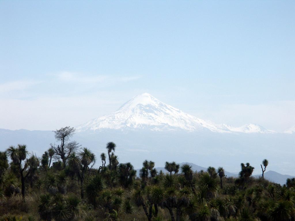 100226_Cantona_071.jpg