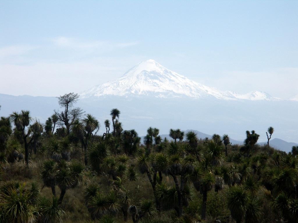 100226_Cantona_072.jpg