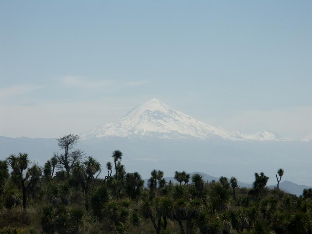 100226_Cantona_071.jpg