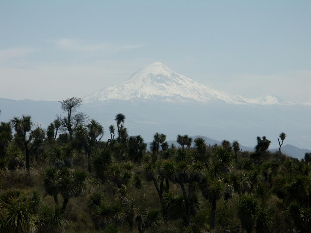 100226_Cantona_072.jpg