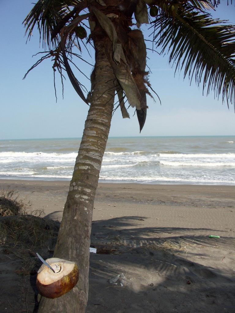 100301_Encanto_052.jpg
