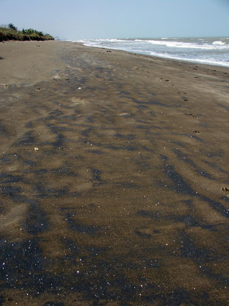 100301_Encanto_054.jpg