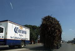 100301_Encanto_044