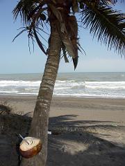 100301_Encanto_052