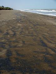 100301_Encanto_054