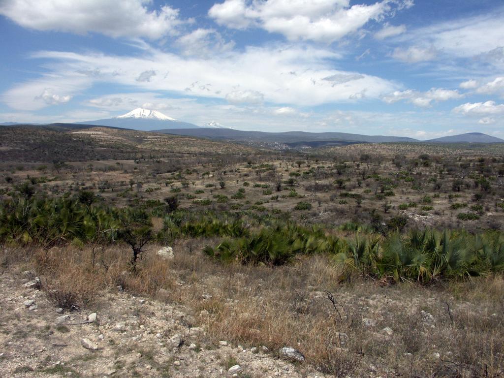 100221_Huehuetlan_035.JPG
