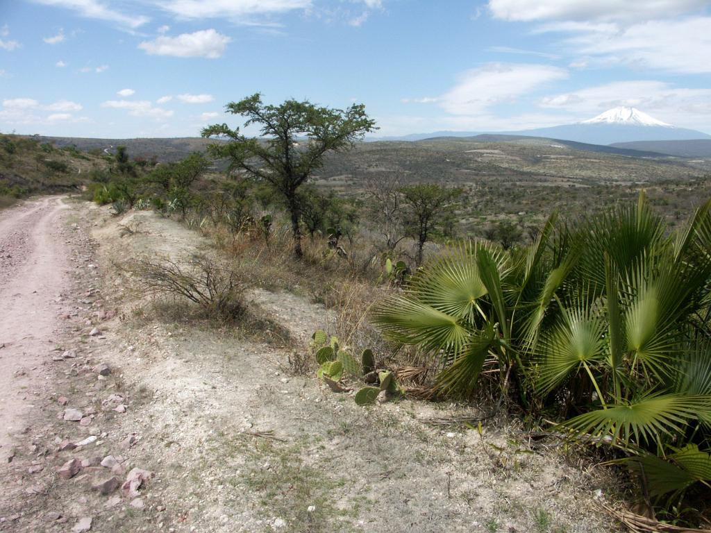 100221_Huehuetlan_037.JPG