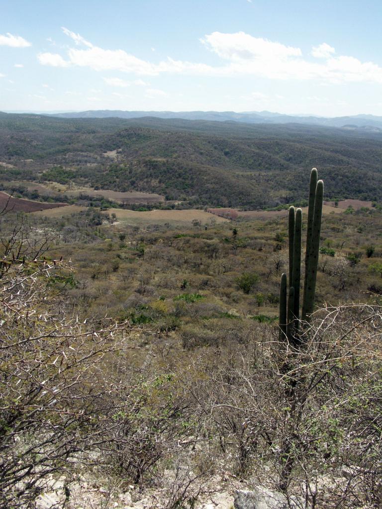 100221_Huehuetlan_047.JPG