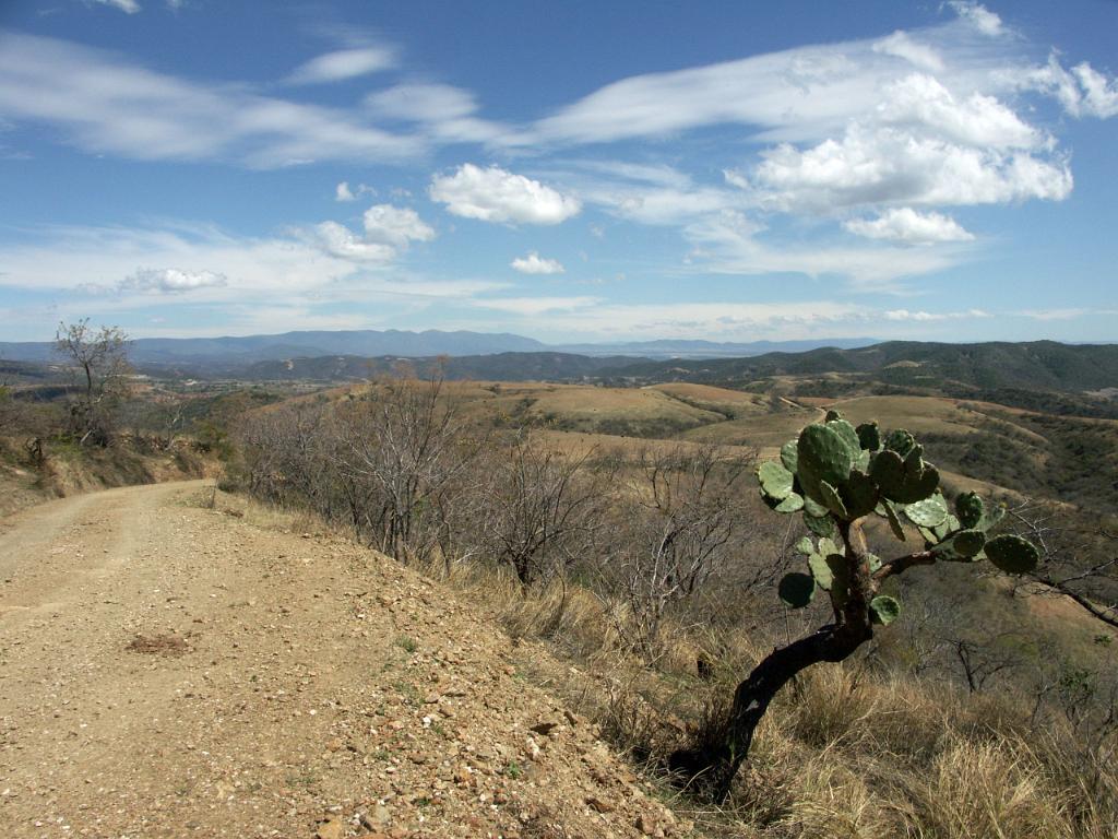 100221_Huehuetlan_067.JPG