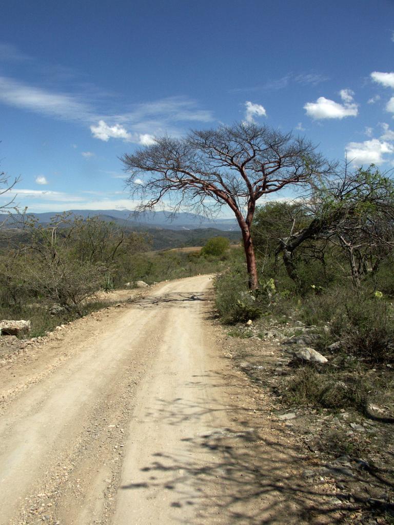100221_Huehuetlan_075.JPG