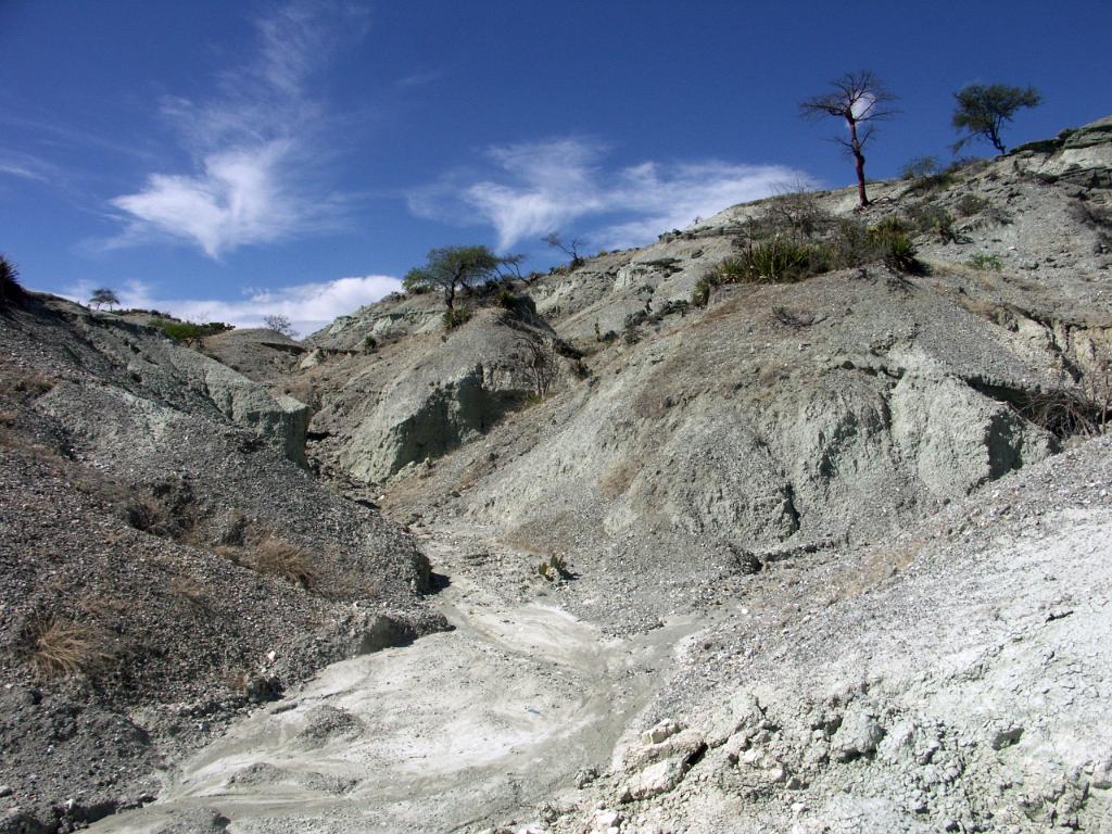 100221_Huehuetlan_129.JPG