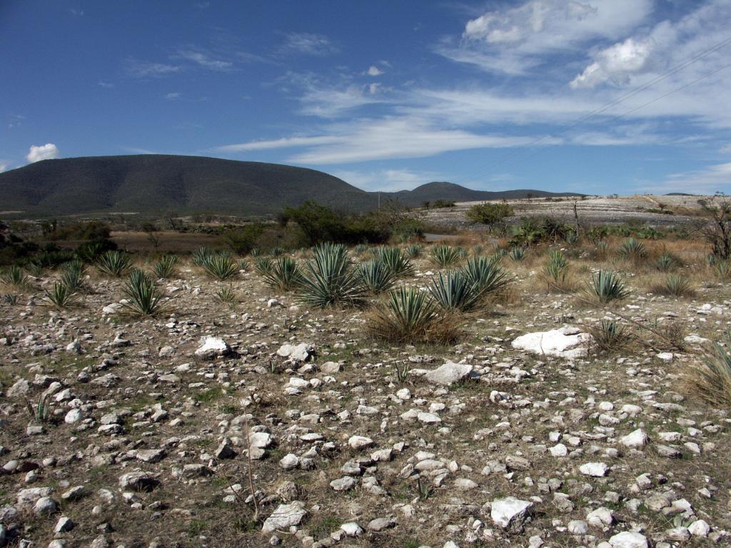 100221_Huehuetlan_147.JPG