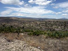 100221_Huehuetlan_035