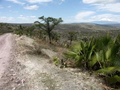 100221_Huehuetlan_037