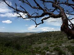 100221_Huehuetlan_041