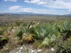 100221_Huehuetlan_042