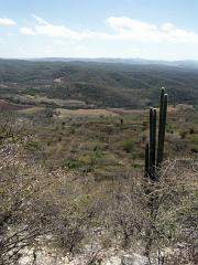 100221_Huehuetlan_047