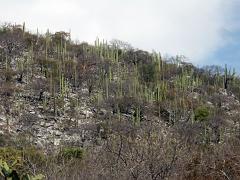 100221_Huehuetlan_049