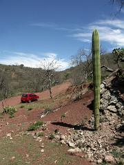 100221_Huehuetlan_061