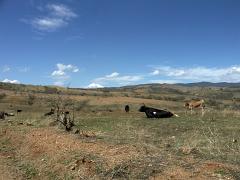 100221_Huehuetlan_068