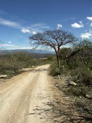 100221_Huehuetlan_075