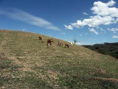 100221_Huehuetlan_078