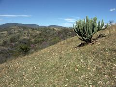 100221_Huehuetlan_079