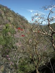 100221_Huehuetlan_091