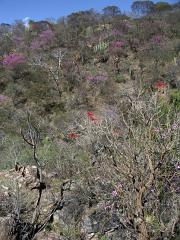 100221_Huehuetlan_095