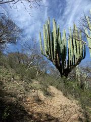 100221_Huehuetlan_100