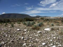 100221_Huehuetlan_147