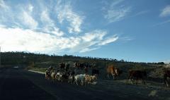 100221_Huehuetlan_176