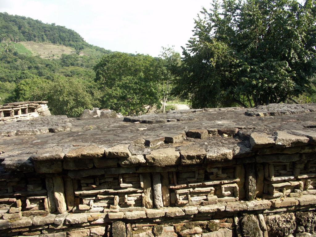 100301_Tajin_083.jpg