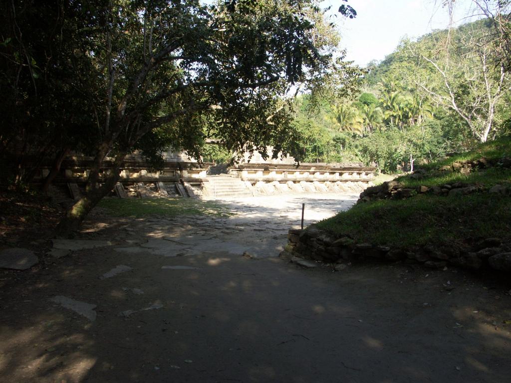 100301_Tajin_098.jpg