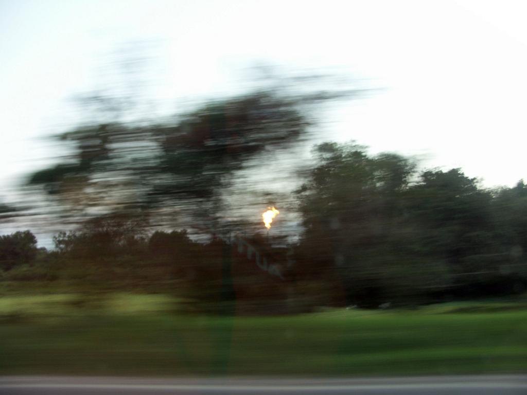 100301_Tajin_140.jpg