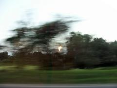 100301_Tajin_140