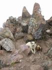 thumbs/Malinche_010.jpg