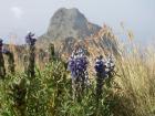 thumbs/Malinche_027.jpg